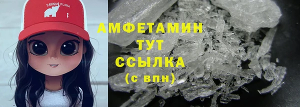 индика Белокуриха