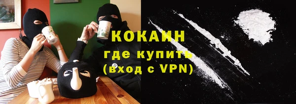 индика Белокуриха