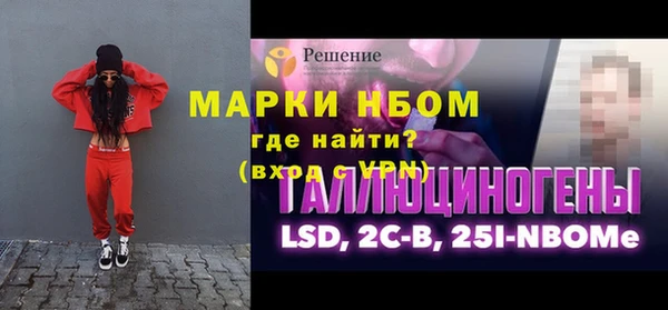 индика Белокуриха