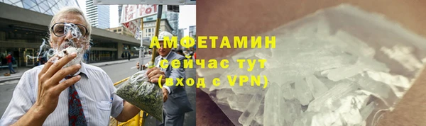 индика Белокуриха
