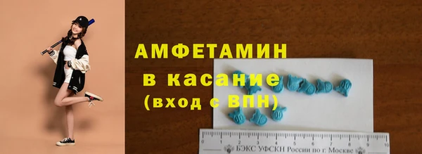 индика Белокуриха