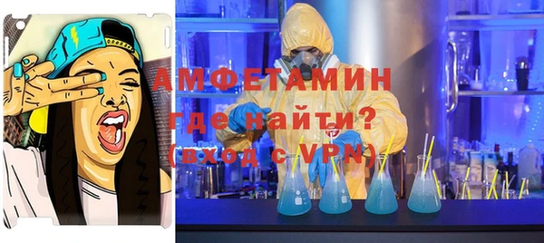 индика Белокуриха