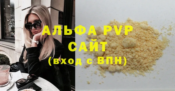 индика Белокуриха