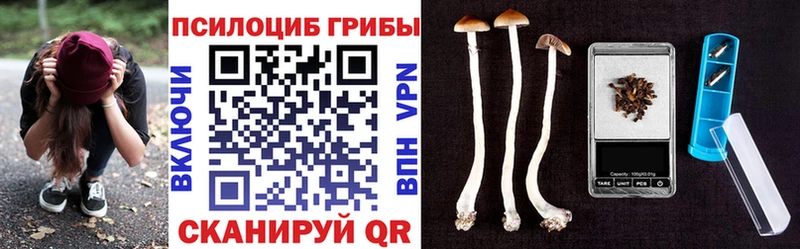 Галлюциногенные грибы MAGIC MUSHROOMS  blacksprut зеркало  Череповец 